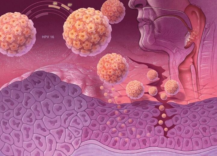 Penetracja HPV do organizmu człowieka